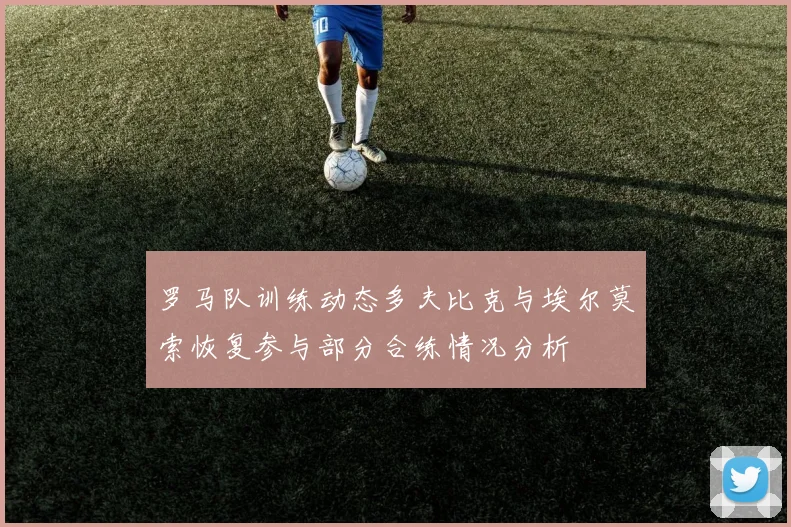 罗马队训练动态多夫比克与埃尔莫索恢复参与部分合练情况分析